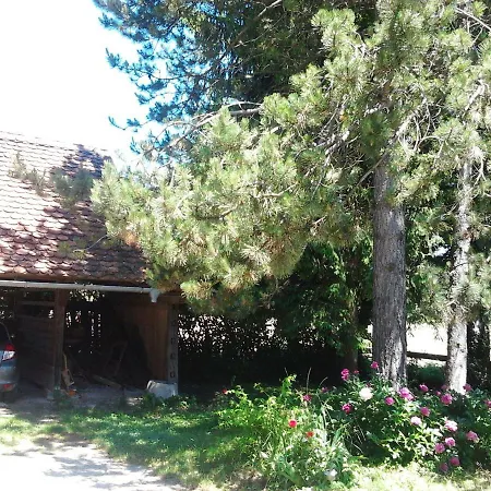 Idyllic Place Near