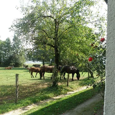 Idyllic Place Near Počitniška hiša Cerknica
